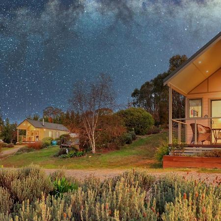 Grace Cottages Uralla Exterior foto